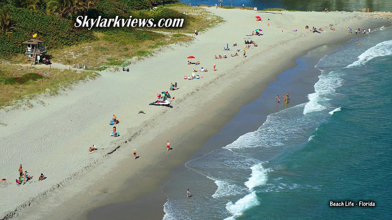 aerial view of people at beach