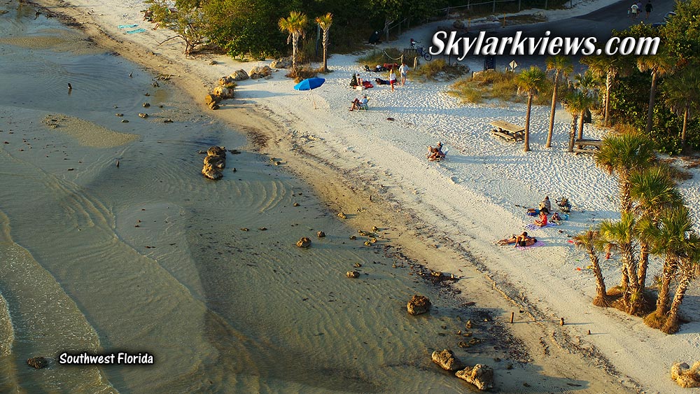 people at beach, palm trees, long shades, shallow water 