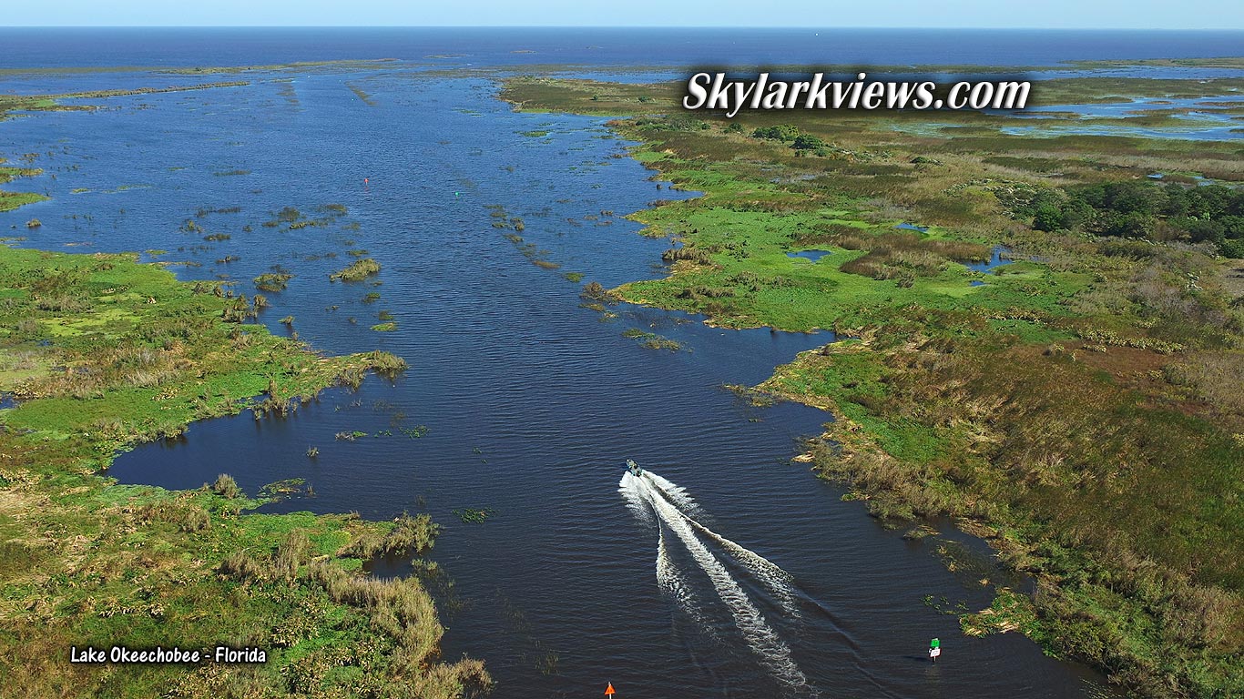 aerial view of swamp and huge lake