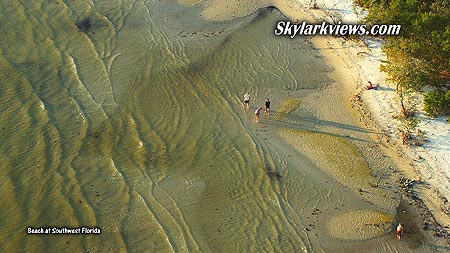 people searching for shells